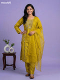 Lime Green Tissue Embroidery Work Straight Suit