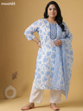 Off White and Light Blue Cotton Printed & Simple Embroidery Work Straight Suit