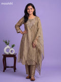 Pastel Green Tissue Embroidery Work Anarkali Suit