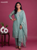 Pastel Green Tissue Embroidery Work Straight Suit