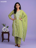 Light Green Cotton Embroidery Work Straight Suit