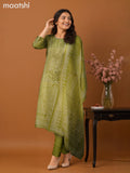 Light Green Modal Printed & Kantha Stitch Work Neck Pattern Straight Suit
